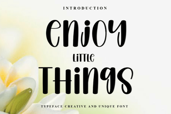 Enjoy Little Things Font